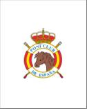 ESCUDO PONI CLUB