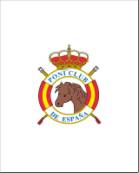 ESCUDO PONI CLUB
