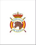 ESCUDO PONI CLUB